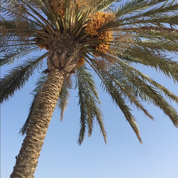 Meet your Posher, Beverly - Picture 2 of 2